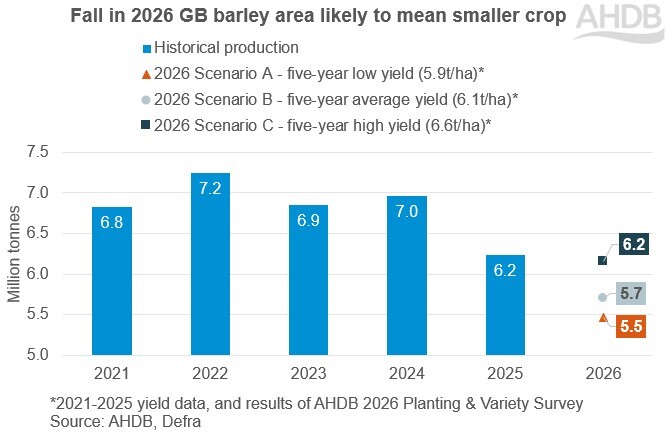 Bar chat showing GB barley production from 2021-2025 compared to scenarios for the 2026 crop